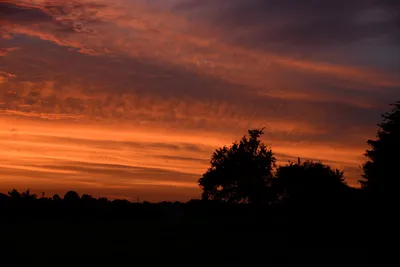 DSC_2178 (Large).JPG